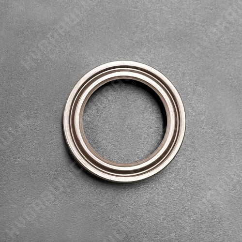 19*26*4,5 BAKHDSN FPM+PTFE