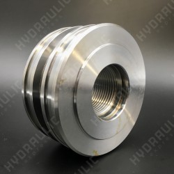 Поршень ГЦ AL 110-050 M48x3 L-70 (B05)