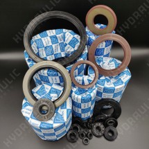 60*82*12/13 BABSL FPM