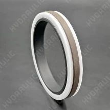 100*83*14 PSAB PTFE/NBR/POM