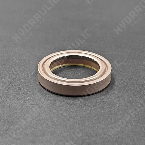 19*26*4,5 BAKHDSN FPM+PTFE