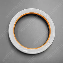 85*110*16 COMBI NBR (DMHUI)