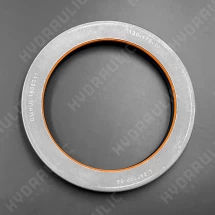 130*170*16 COMBI NBR