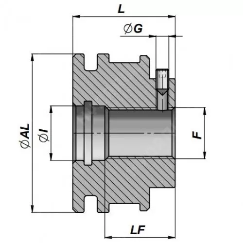 Поршень ГЦ D 125 F42x3