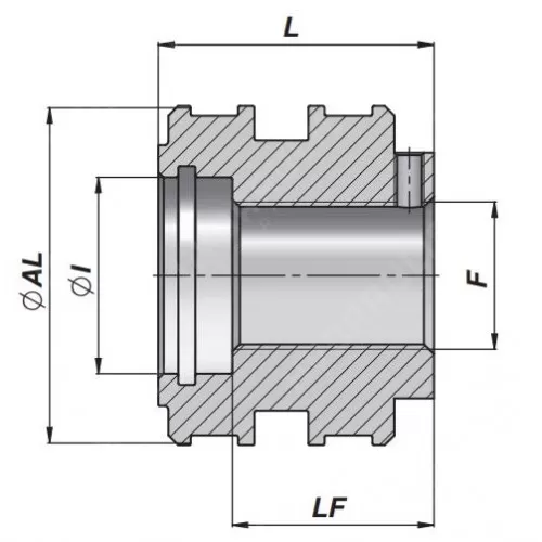 Поршень ГЦ AL 120-050 M48x3 L-70 (B03)