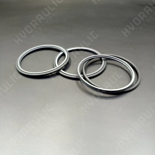 63,5*74,28*4,2 DS129 PTFE + NBR