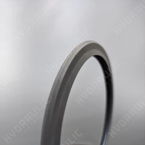 125*101*5,1 A810 NBR