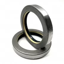 40*55*10 COMBI NBR