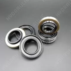 30*47*7/10 DKB NBR+Stal