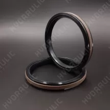 120*105*12,5 SPGWB PTFE