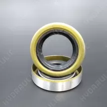 60*75*8 WDR-B10 NBR