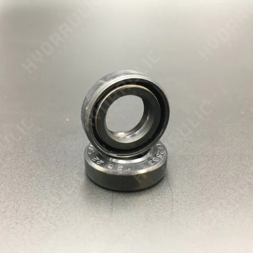 12,5*22*6/6,5 BABSL NBR