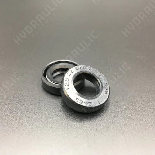 12,5*22*6/6,5 BABSL NBR