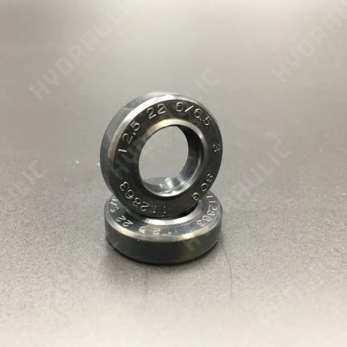 12,5*22*6/6,5 BABSL NBR