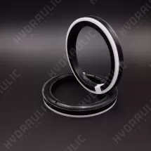 125*100*16,2 10DS POLYPAC DS492393-NE NBR