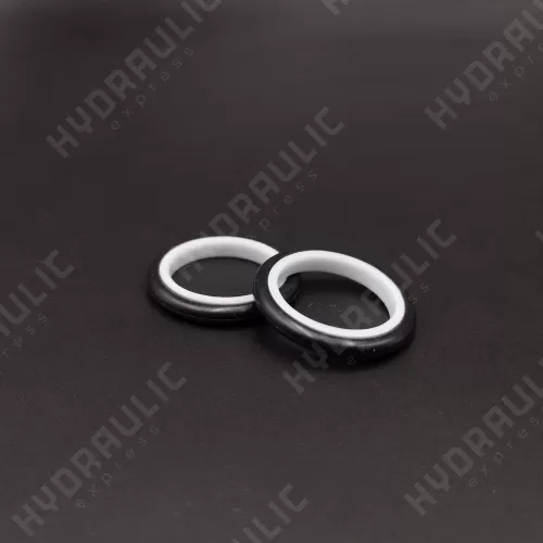 16*21*3 S9DL PTFE 