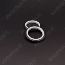 16*21*3 S9DL PTFE 