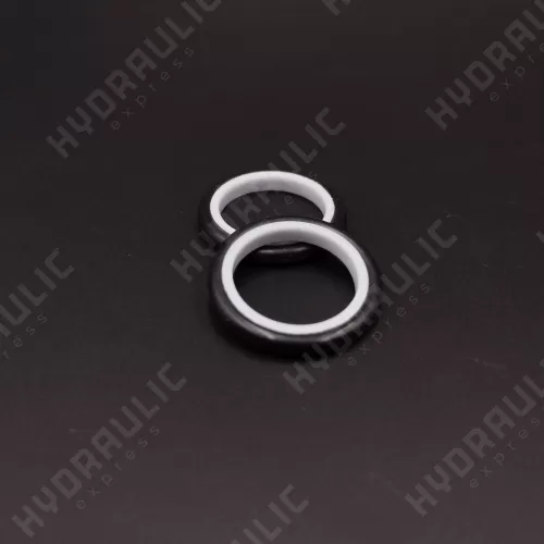 16*21*3 S9DL PTFE 