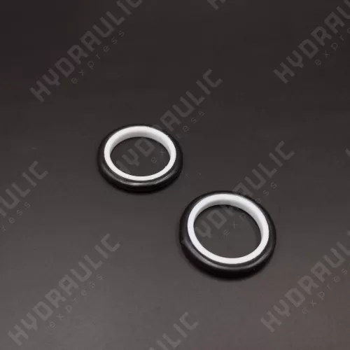 16*21*3 S9DL PTFE 