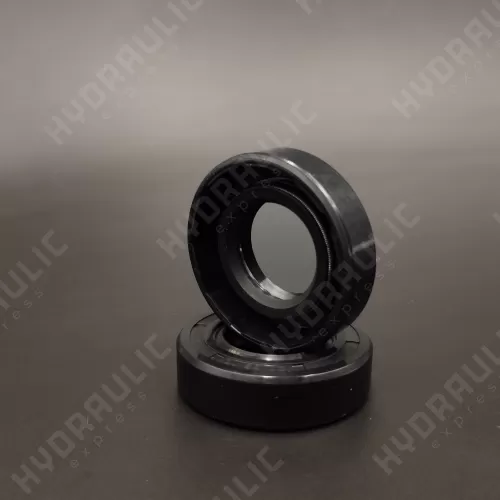 20*38*10 WDR-AS NBR
