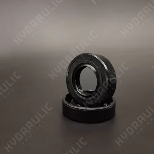 20*38*10 WDR-AS NBR