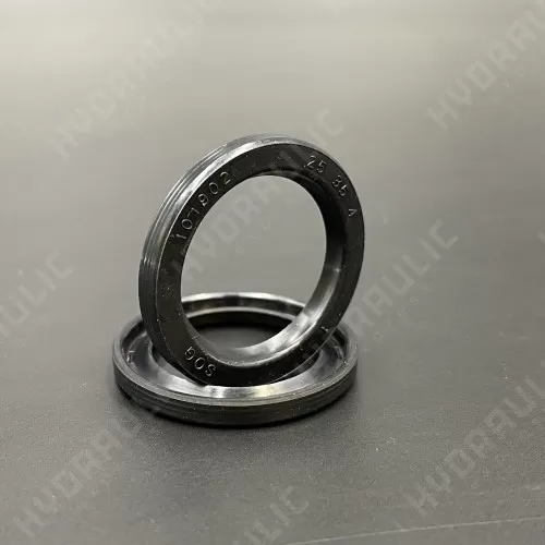25*35*4 VG NBR
