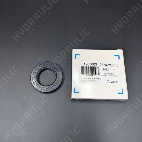 25*42*6/5,5 BABSL05 HNBR