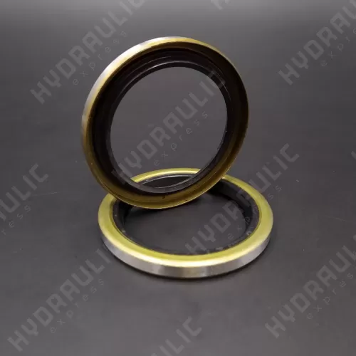 30*40*4 WDR-B12 NBR
