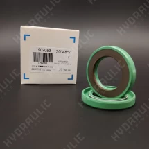 30*48*7 PTFE+FPM