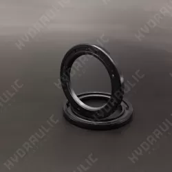 33,5*46*4 V01-PL NBR