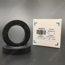 38*58*11 AP2240G NBR