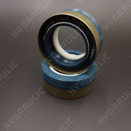 40*60*25 RWDR-KOMBI