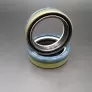 50*65*18 COMBI SF8