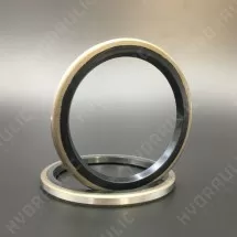 60*75*5 WPB NBR+Stal
