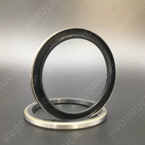 60*75*5 WPB NBR+Stal