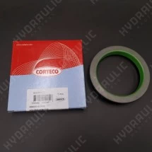 62*78/81*10/13,8 RWDR-KOMBI NBR