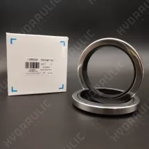 79*99*10 B2PT PTFE